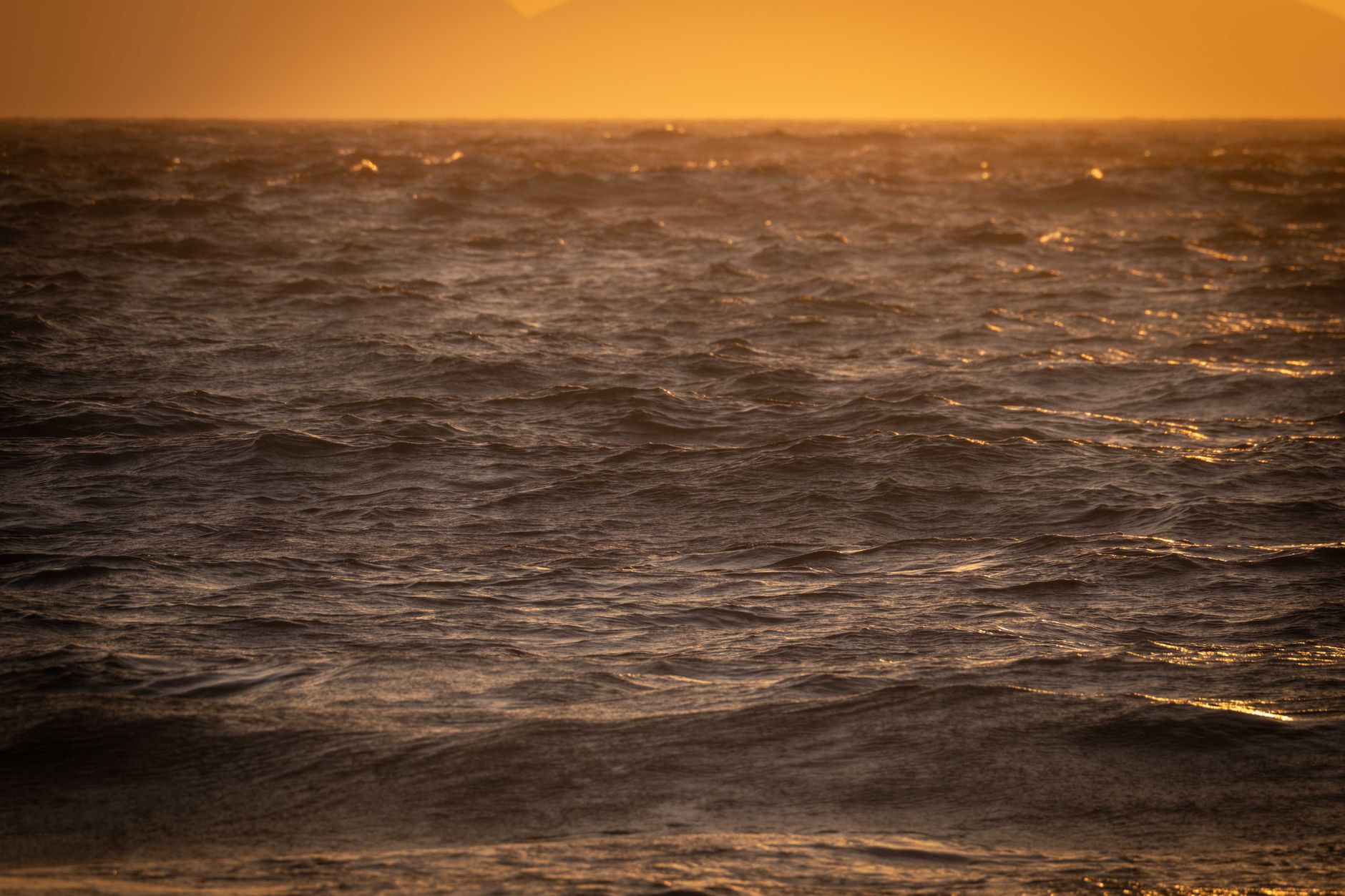 Sea in a golden sunset